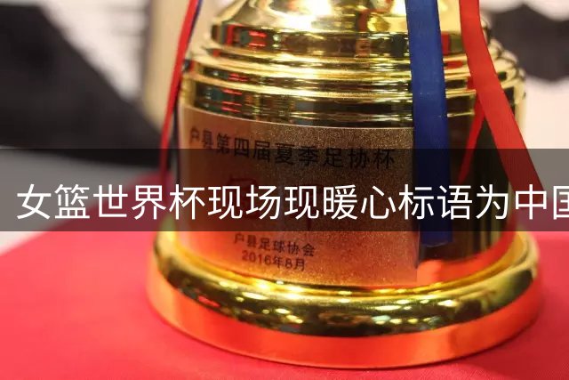 女篮世界杯现场现暖心标语为中国队助威