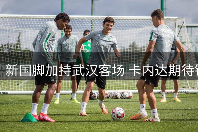 新国脚加持武汉客场 卡内达期待锋线发力 绿城要亮剑